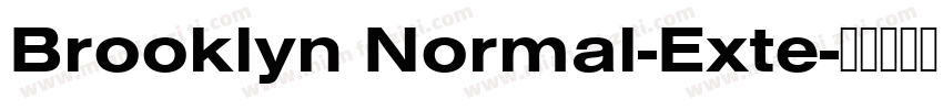 Brooklyn Normal-Exte字体转换